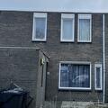 Hoenderhof 46